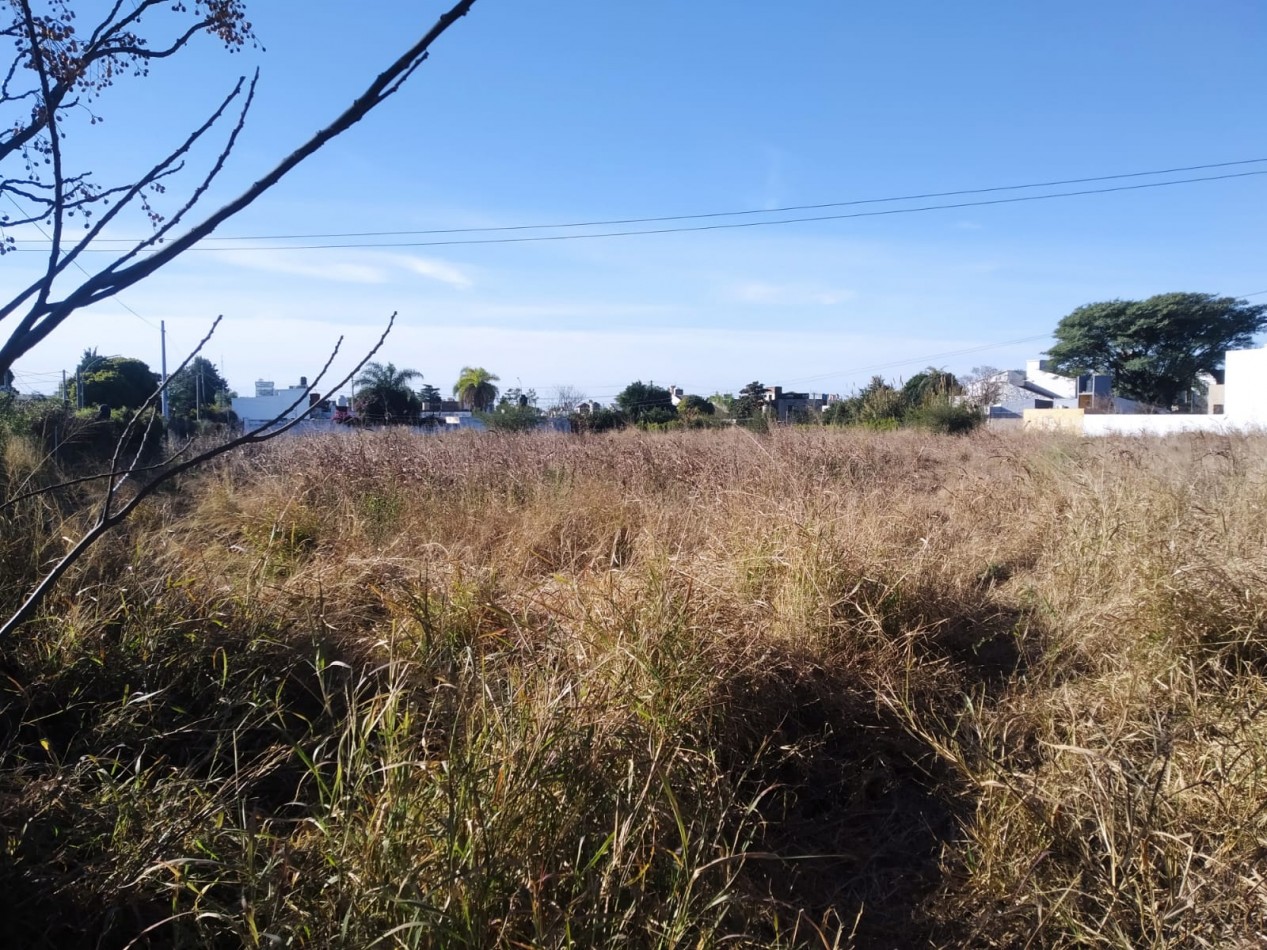 TERRENO EN ALQUILER 6000 METROS.- ALTO ALBERDI