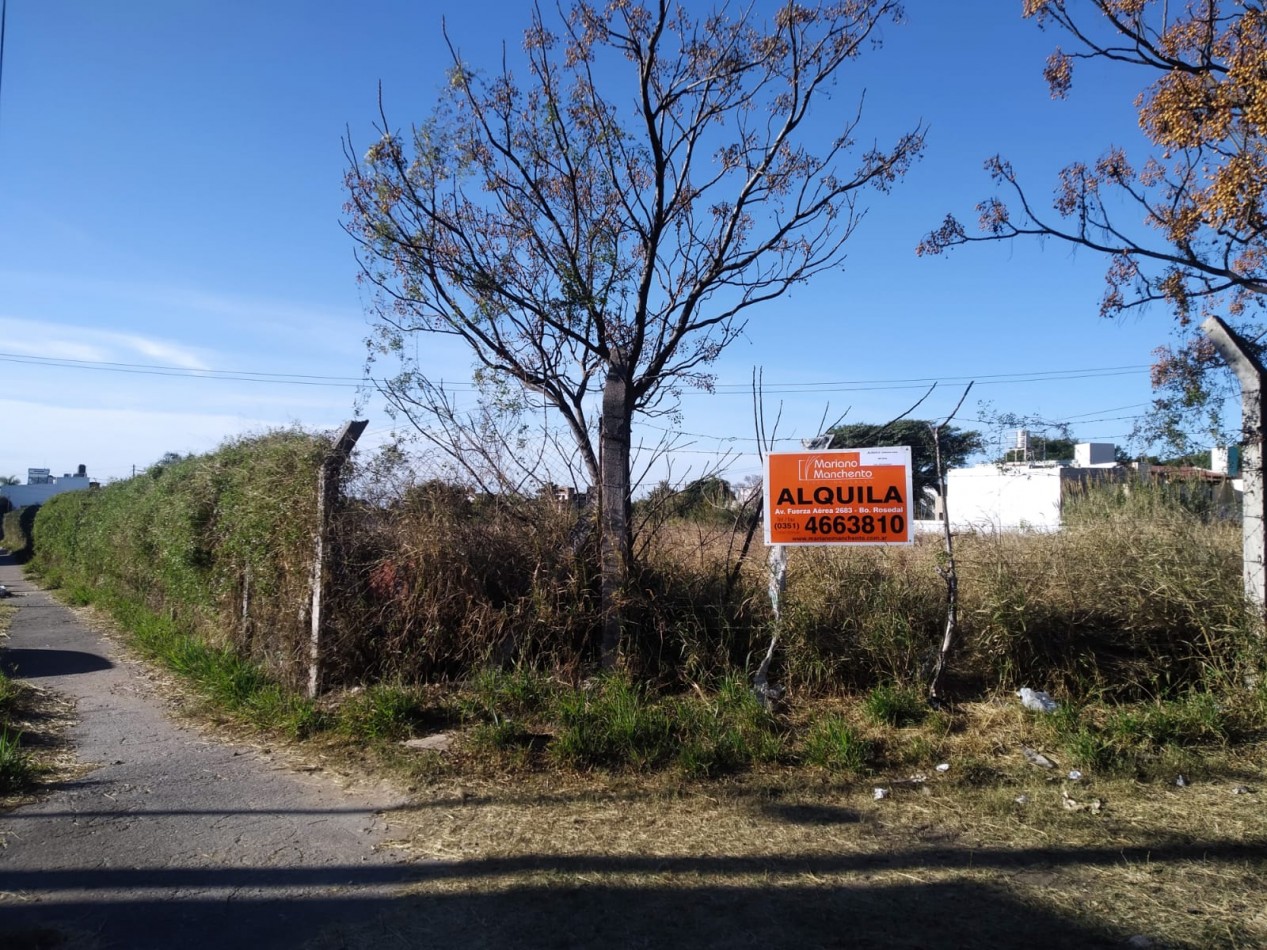 TERRENO EN ALQUILER 6000 METROS.- ALTO ALBERDI