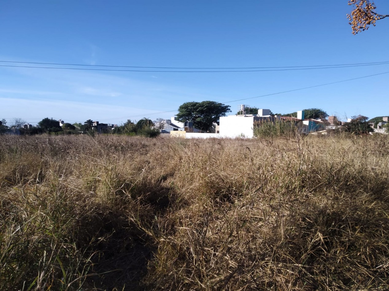 TERRENO EN ALQUILER 6000 METROS.- ALTO ALBERDI